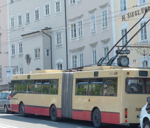 Oberleitungs Gelenkbus  Ankauf Neustadt An Der Weinstraße 